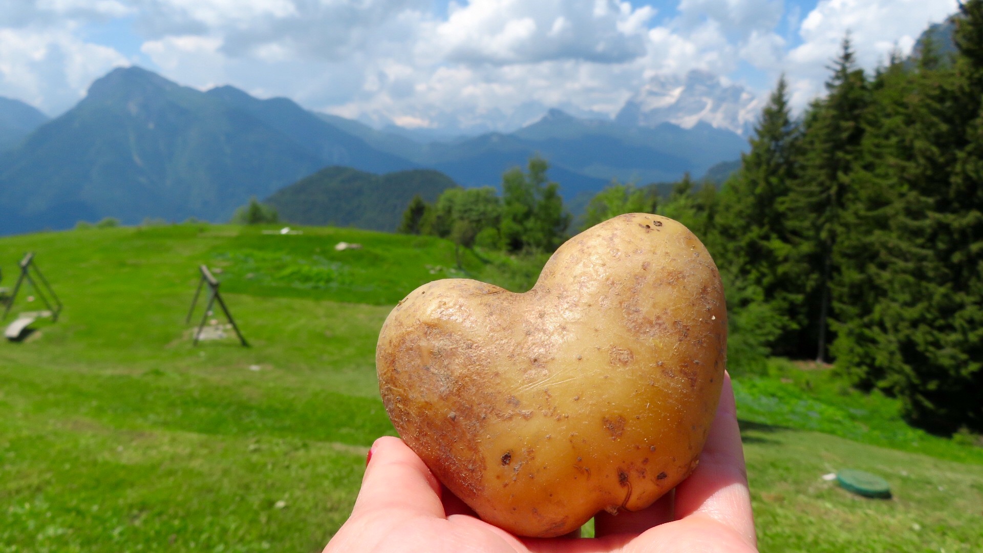 immagini/galleria ristorante/FullSizeRender 8 - Rifugio Costapiana - Valle di Cadore